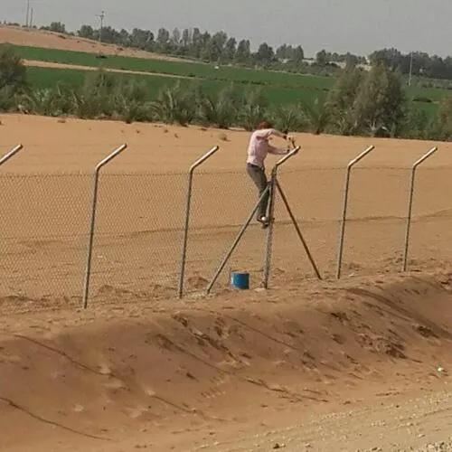 شبوك الرياض: الحل الأمثل للأمان والفصل بين المساحات